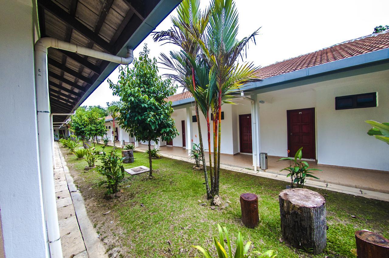 Han Rainforest Resort กัวลาทาฮัน ภายนอก รูปภาพ